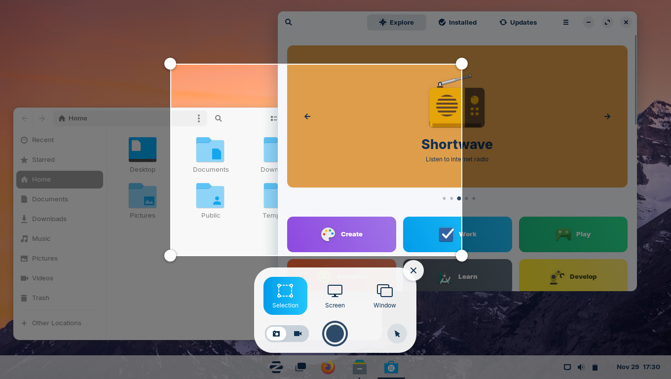 Screenshot interface