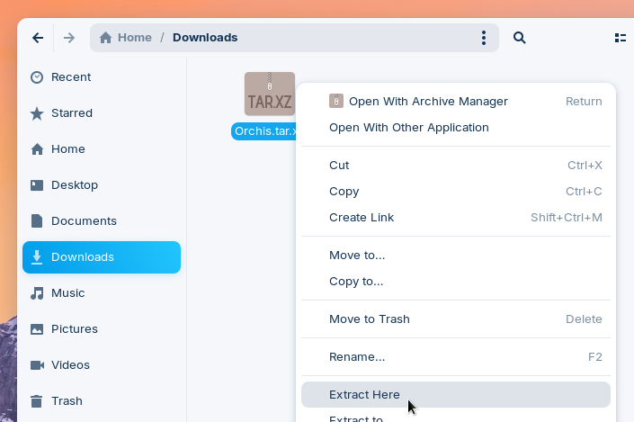 Extracting the downloaded theme file